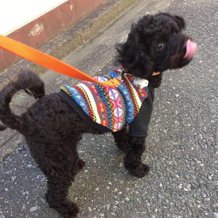 85cbd277 7ea3 47f0 abb0 4fbd1cb29864