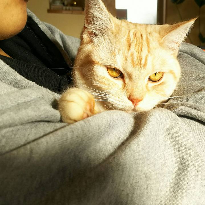 85cbd530 f2c6 45af 9ca2 7448554801eb