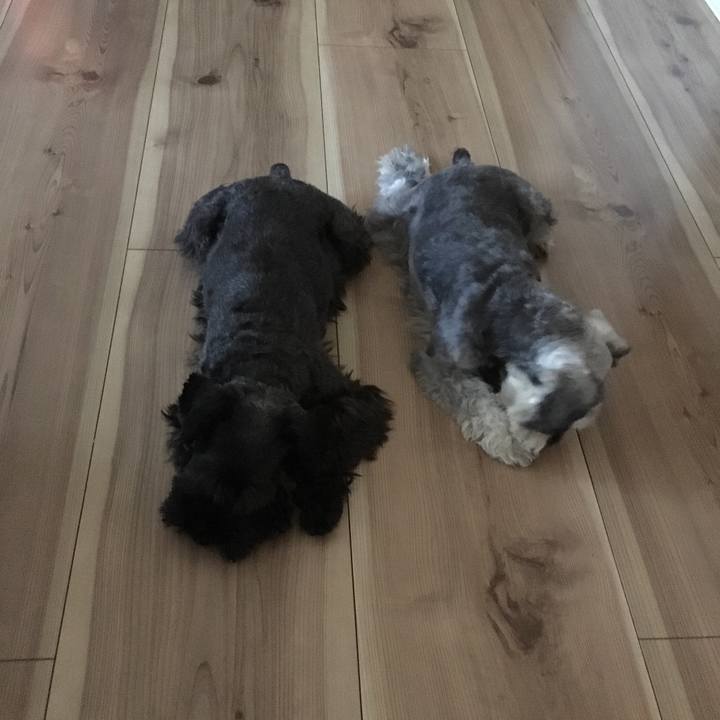 85cc1a38 c0e2 48a6 a7c1 2b25dd4e7d1c