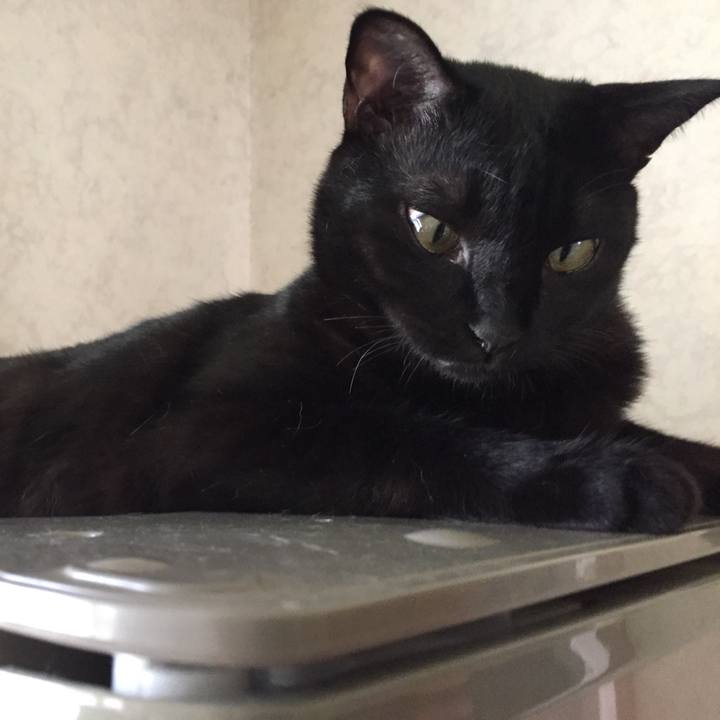 85cc7959 7bff 4e87 aa2a fc7731652250