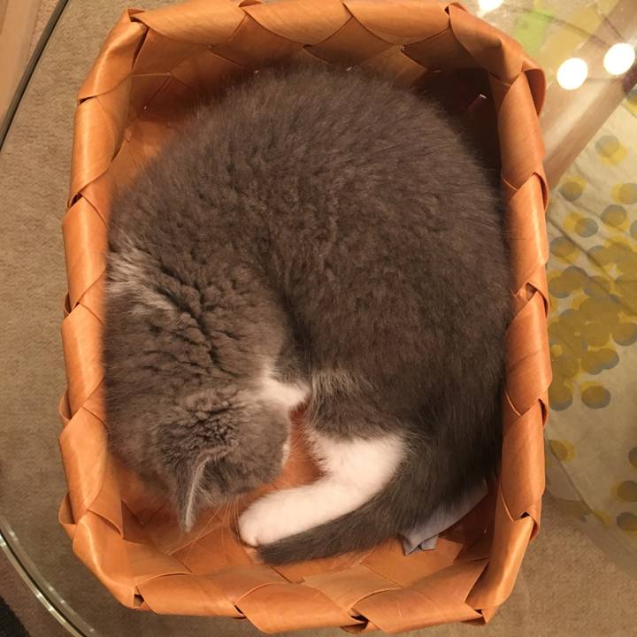 85ccb802 a9b2 4ee0 91d2 6bd19977ab84