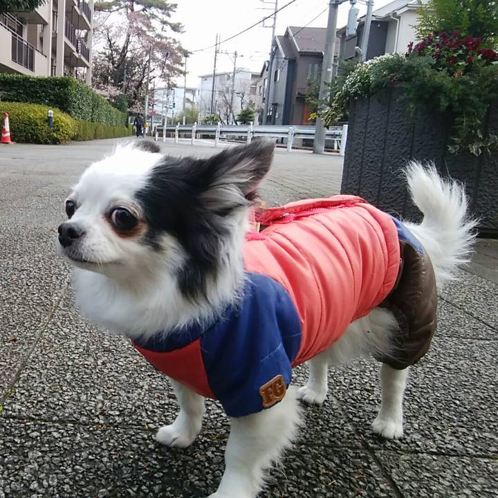 85ccf7fc 7b18 4b6f 8dfc 2416da51a2e0