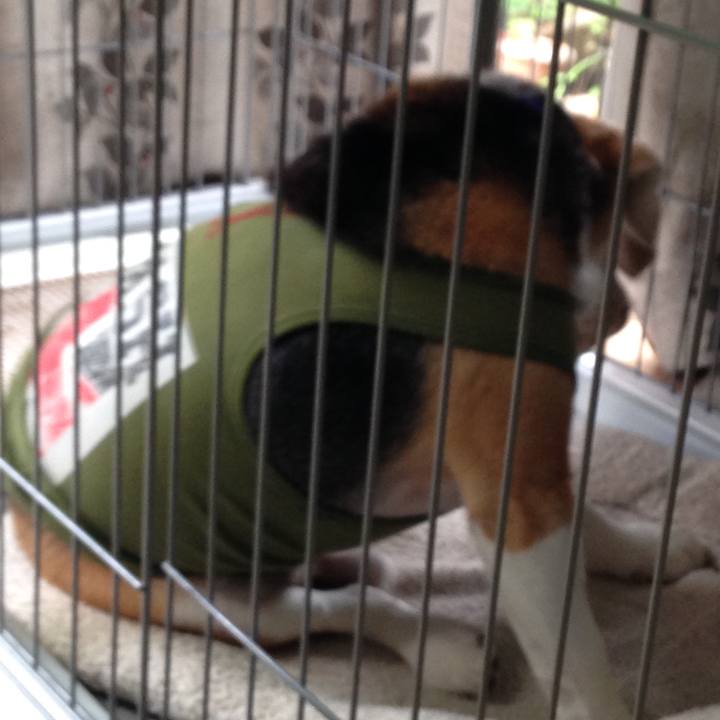 85cd2812 10ec 4271 a115 430f03840f7e