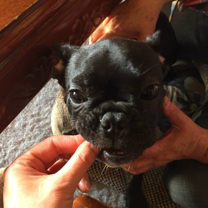 85cd325a ad6d 4c99 afc3 40221e257aa5