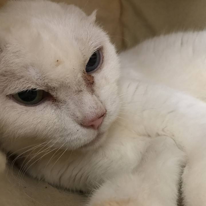 85cd6d2d 1bf6 40f1 8fcd 7fe3296b507e