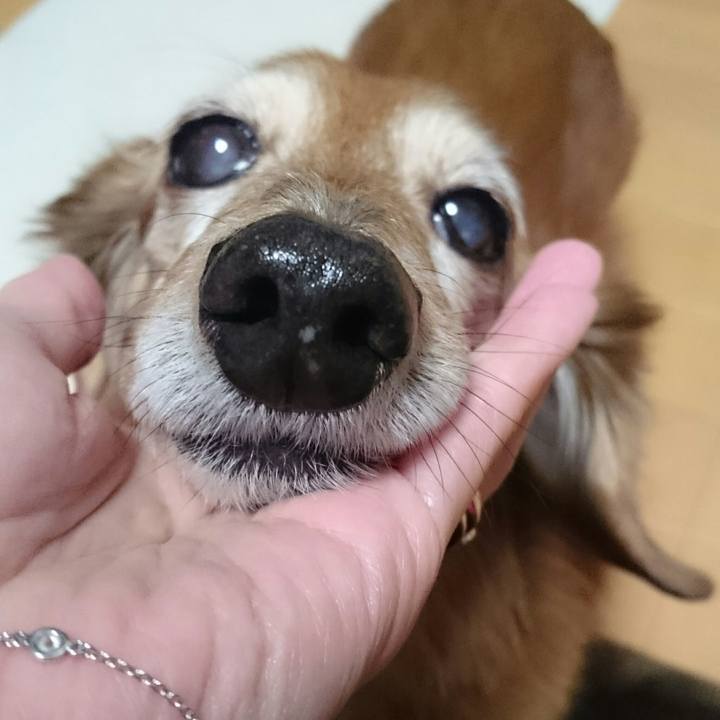 85cd7098 e351 4e49 8c7d 6e37b9bc384b