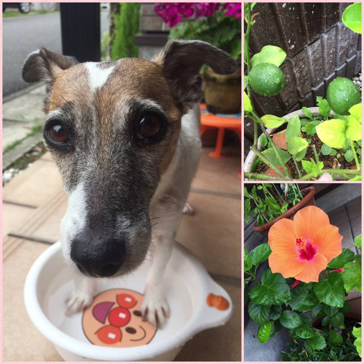 85cdd825 3efe 4ace 9721 3aba29bca0fe