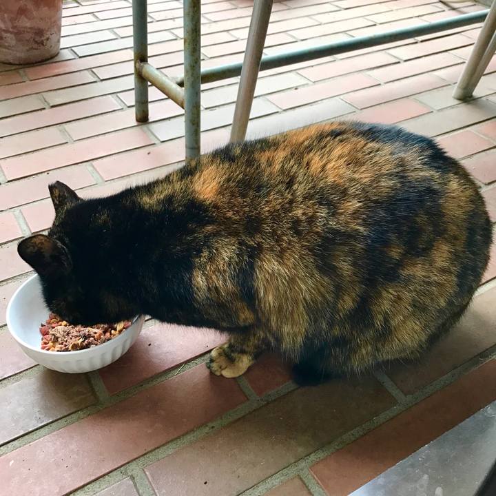 85cde238 9108 4645 af16 dd8a9eb010ca