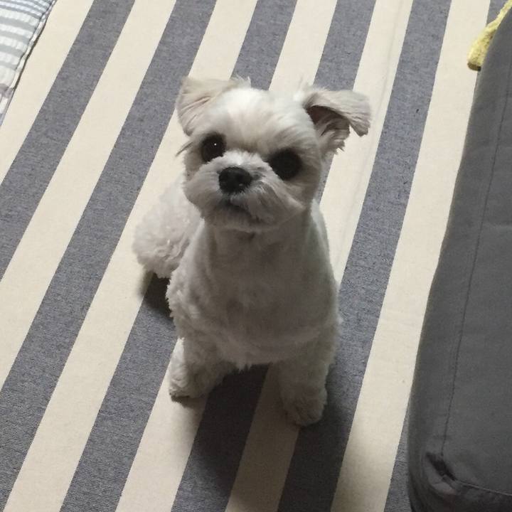 85cded95 1e82 4712 8adc 3fb41df12ded