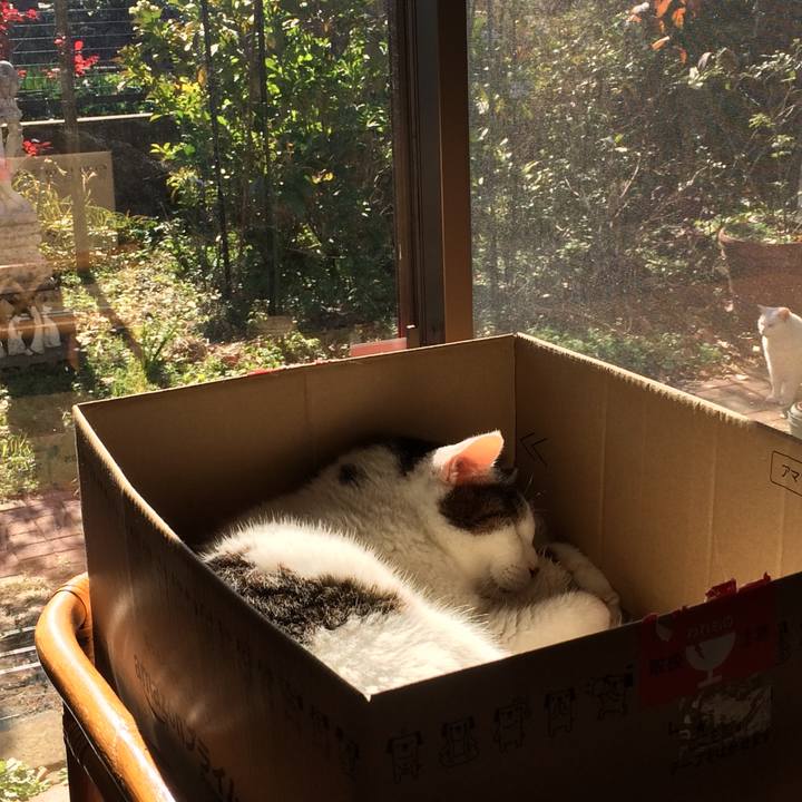 85ce1a54 c5f4 4eb9 8126 f42efbbb15e3