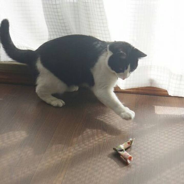 85ce47f8 a2ed 4a2f 98a2 76491074ffa6