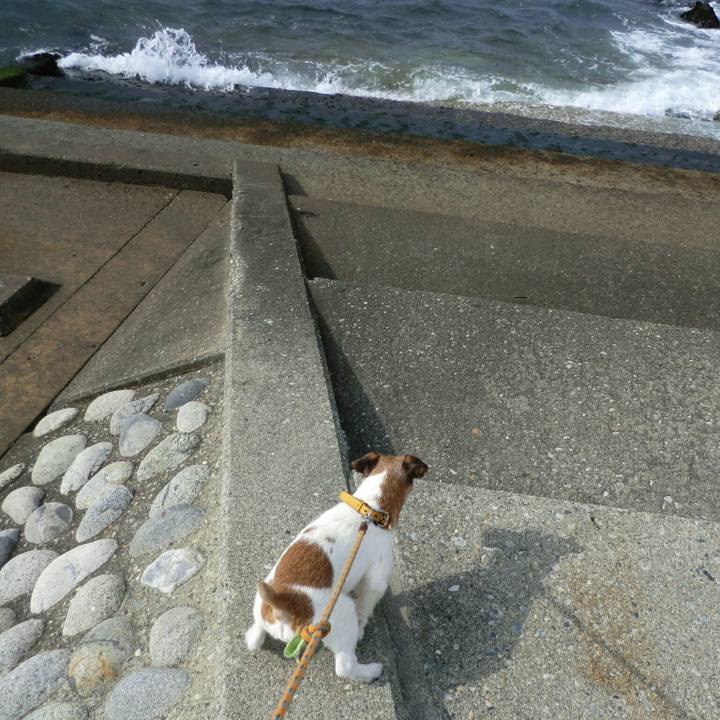 85cfa5ca df72 4a2f 8c01 34c8cfa67e2b