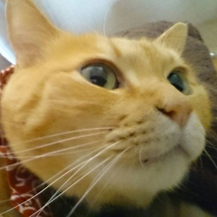 85d02d14 3f34 4933 9e2a 842beac43290