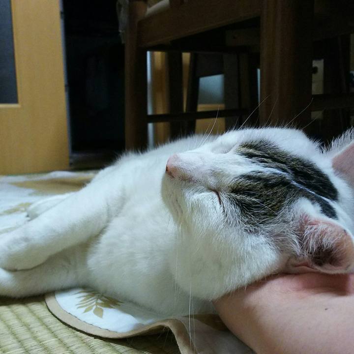 85d0c066 5c77 45f5 9a0c c3b01d82f643