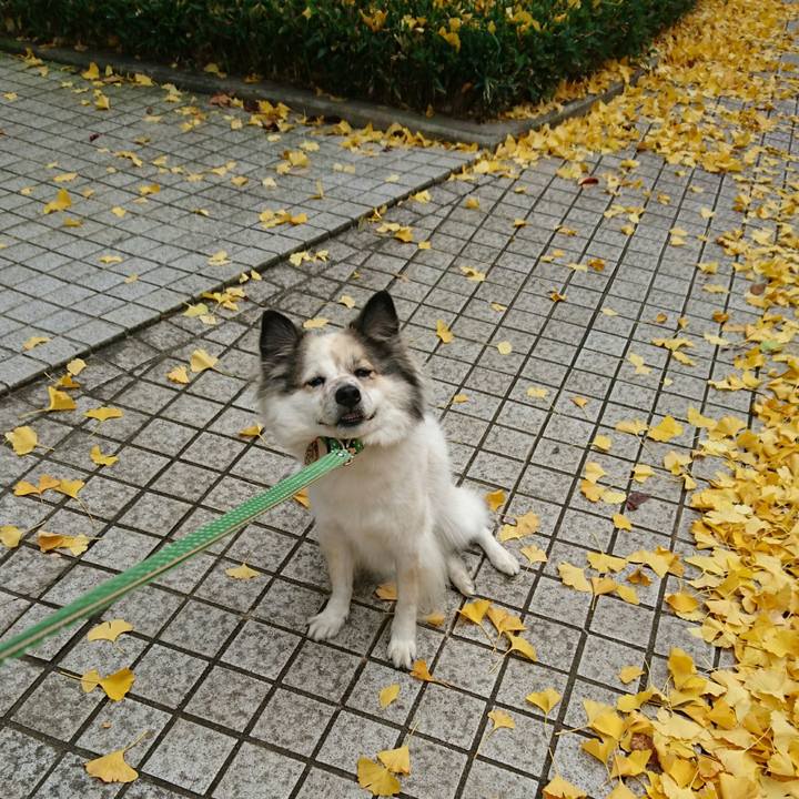 85d1273a 3aad 4af6 a18b ec2092c69072