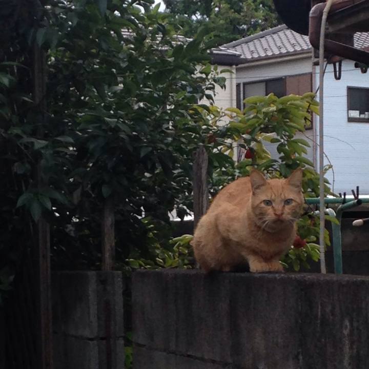 85d1c941 356c 49d2 aacc 0a31b0a0dd1f