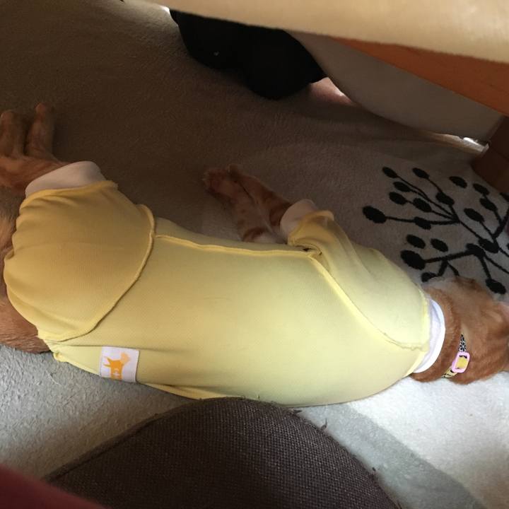 85d20d01 8a8b 4bb2 ba5e 0f19c124c5d1