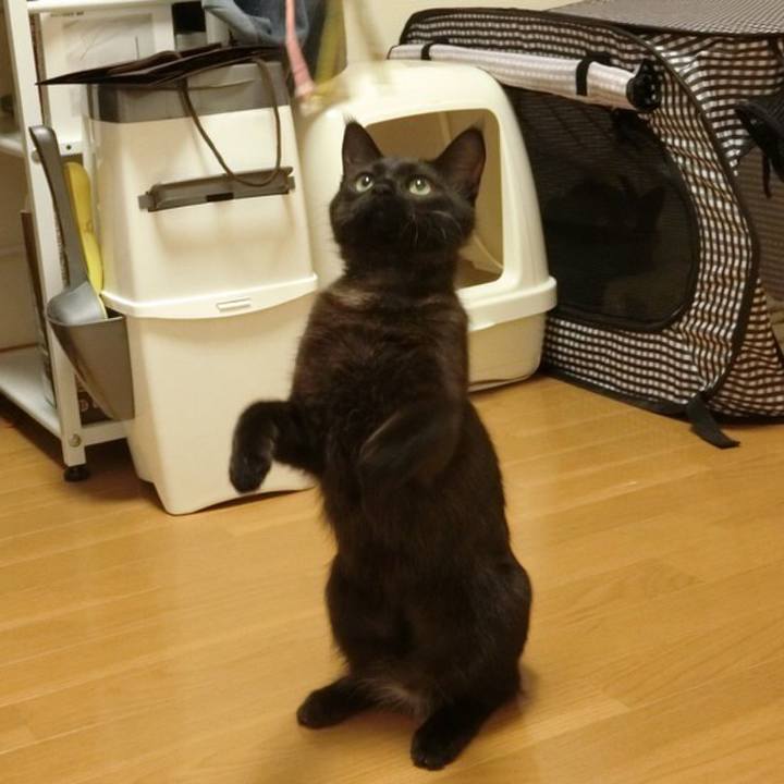 85d29501 bc05 4409 bfed 41600e53a4e8