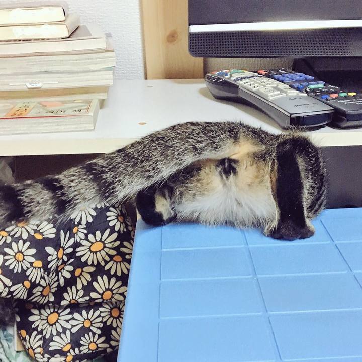 85d32ca0 c2a1 4a3f b63a 94f4820077c8