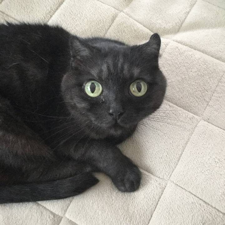 85d38546 8e8a 4023 9ea0 d82e2c94d9b6