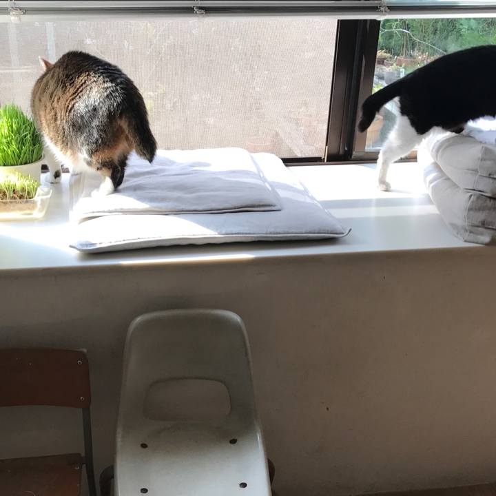 85d41fe6 317a 497e b122 b3238169a39d