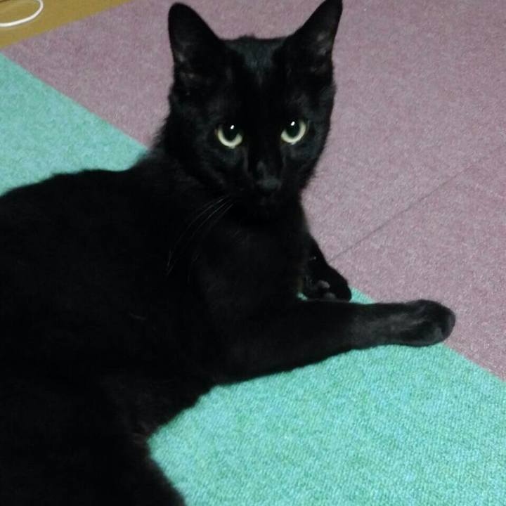 85d45476 4c85 4c0f a852 64a8f488936b