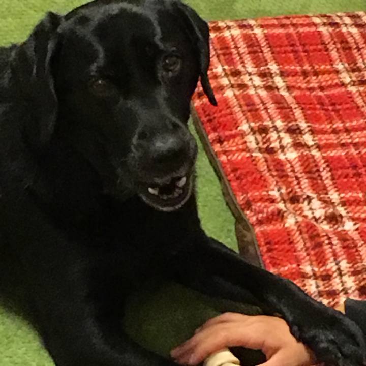 85d4848c 843a 49b7 845e a8188c8bc78e