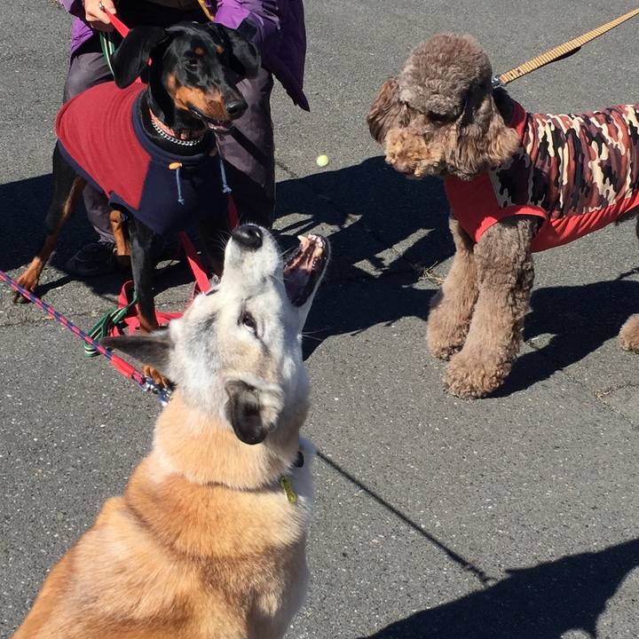 85d4dd20 3619 429b b44a 1594c9c126b7