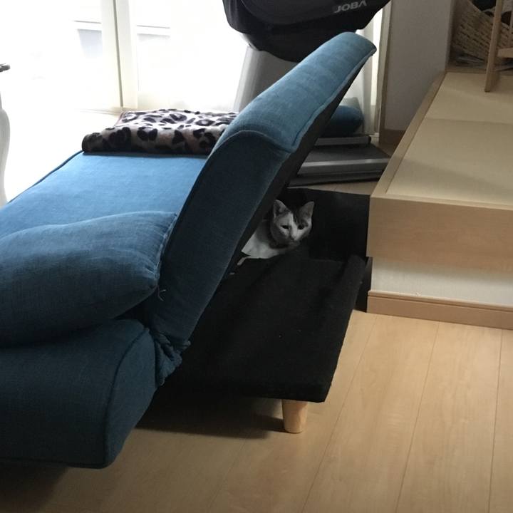 85d4e922 c23f 465f 8a69 67d76233d8a3