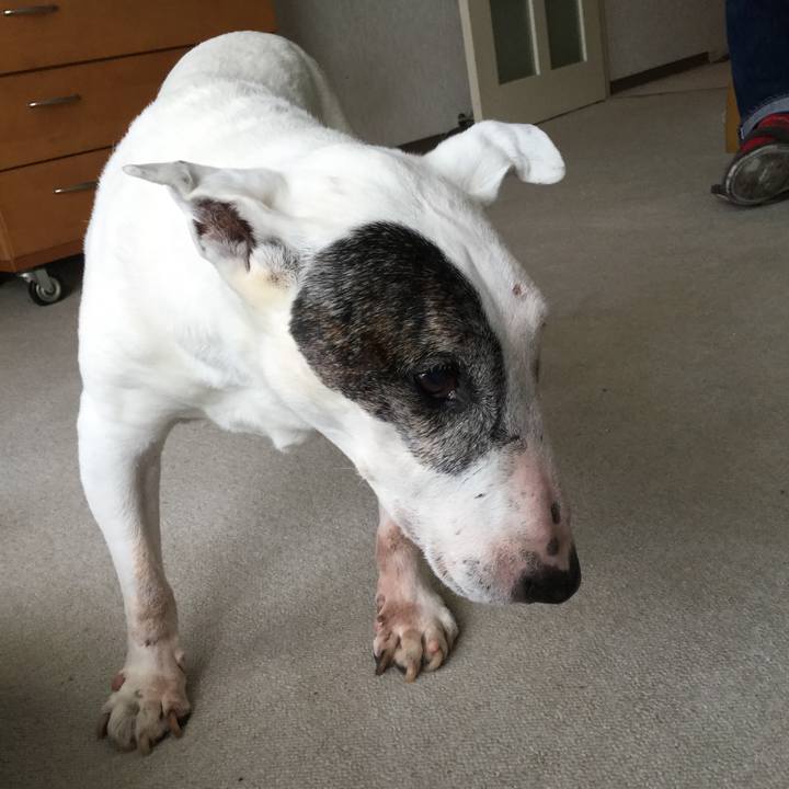 85d505f8 d3f4 4d2a 91ca a265011ee39f