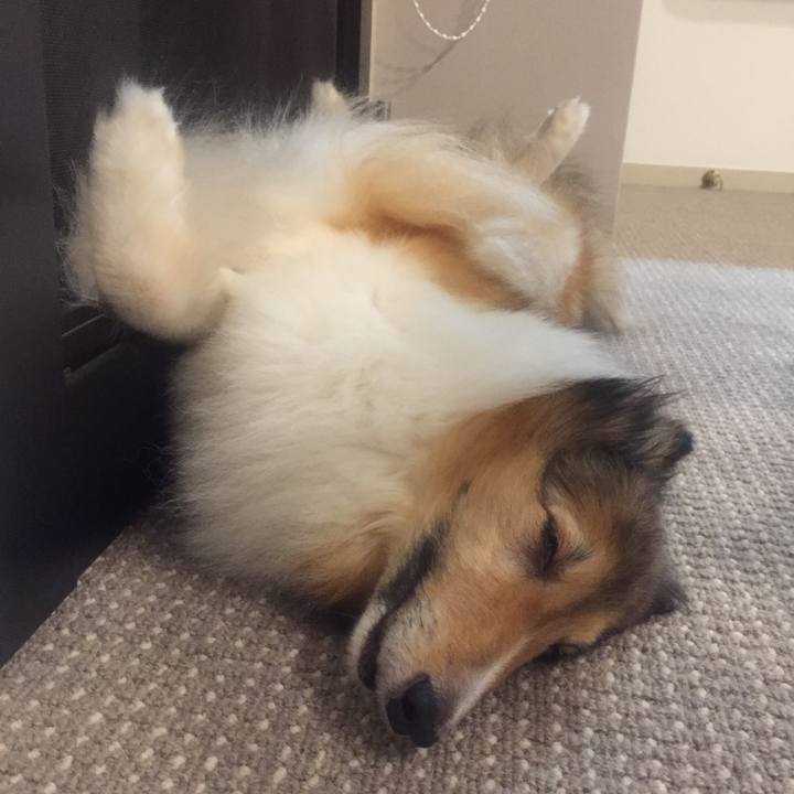 85d5a5b0 d3bc 4849 bcdb 4a83ef2b86b8