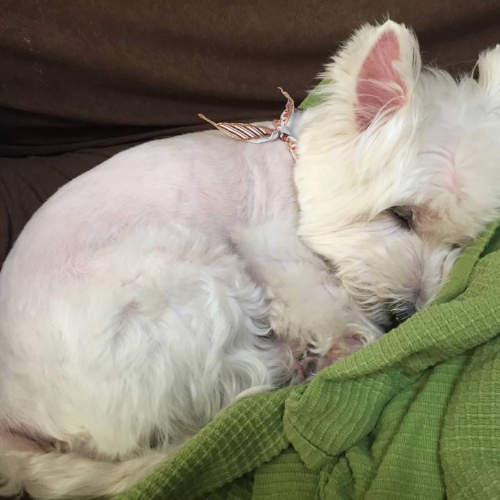 85d6353c d756 46f5 917b f1e439c2e4ab