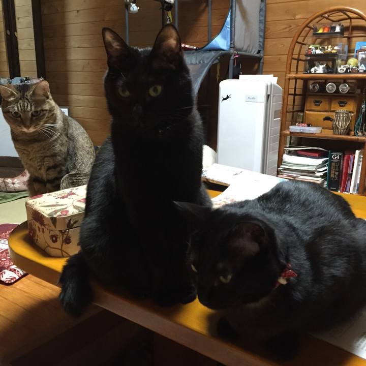 85d6479e 8e33 4438 8dc5 ac7d4bd1983a