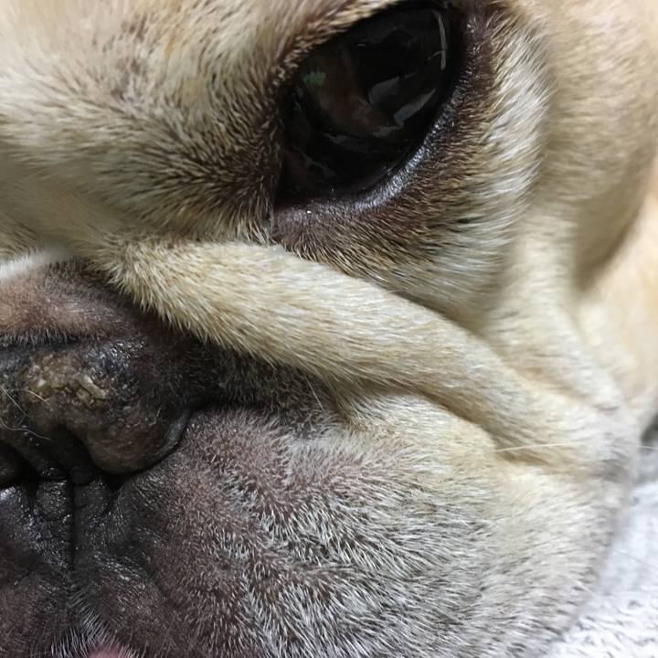 85d651f6 cb8b 48a9 a1d7 7dd3fc288938