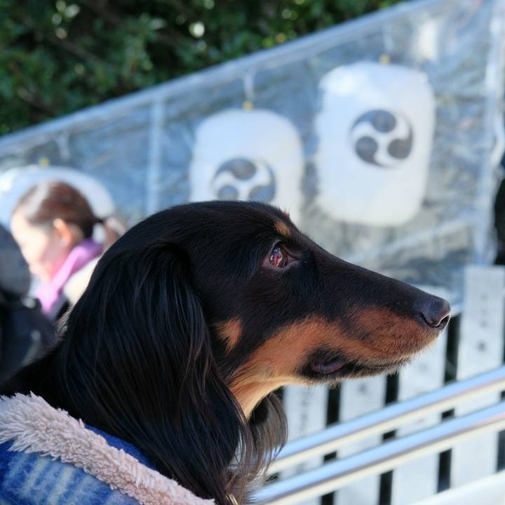 85d67791 2727 4279 b39c c501b6d223d1