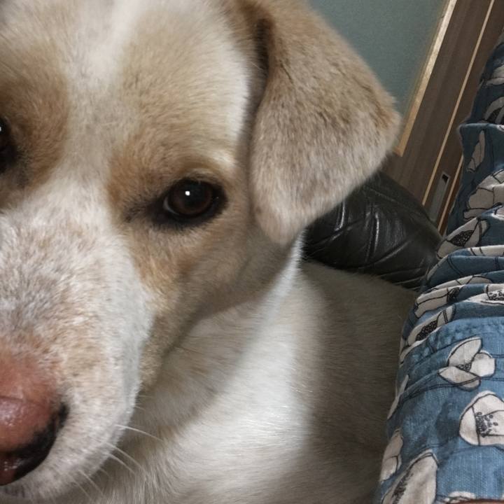 85d67ce8 9ddc 45e9 b82b 5cb7c9e7cd5c