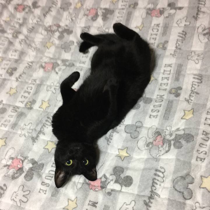 85d68e9c 1a2e 4c2d a100 015f31d89be8