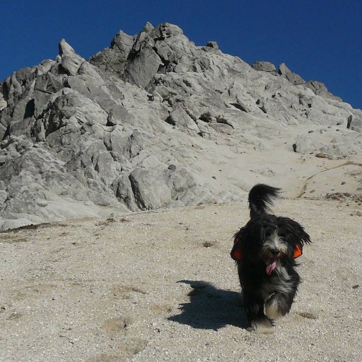 85d6b494 c589 4623 b189 0cd4f278f5d6