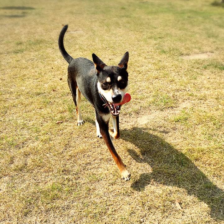 85d6e42e 5490 478c 9a14 85a879409d2b