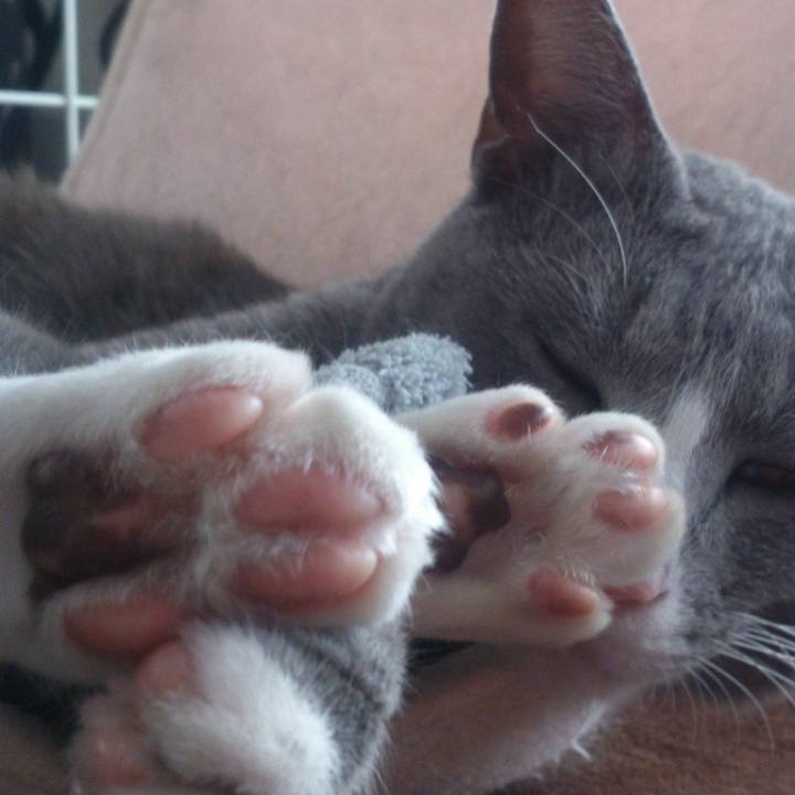 85d73987 74c1 467d 9b09 143beb0a047e