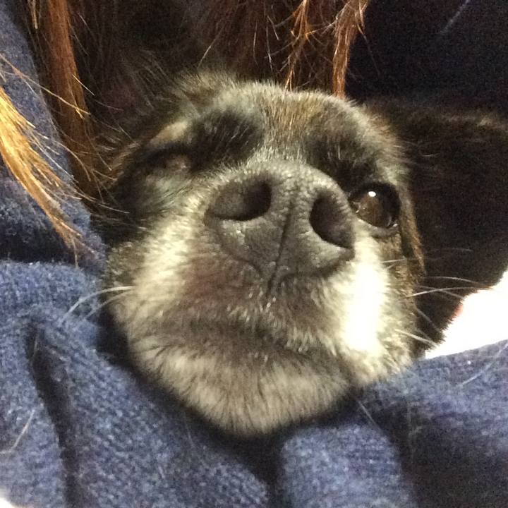 85d7862f 0219 4737 814b dfe99f508040