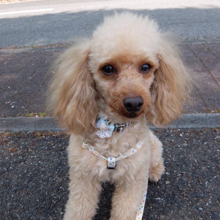 85d7ff20 3730 4c67 a662 20b7564435a3