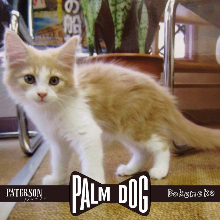 85d89c9f 1d2a 4fb6 848c 1e025ee738d7