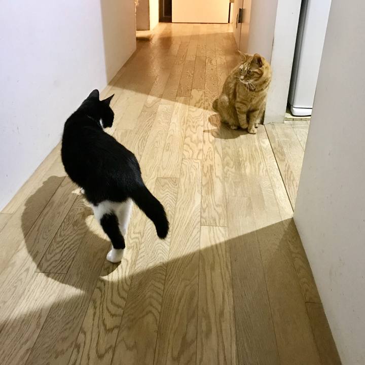 85d8c934 bf6b 43f2 95bf ac4c24802b28