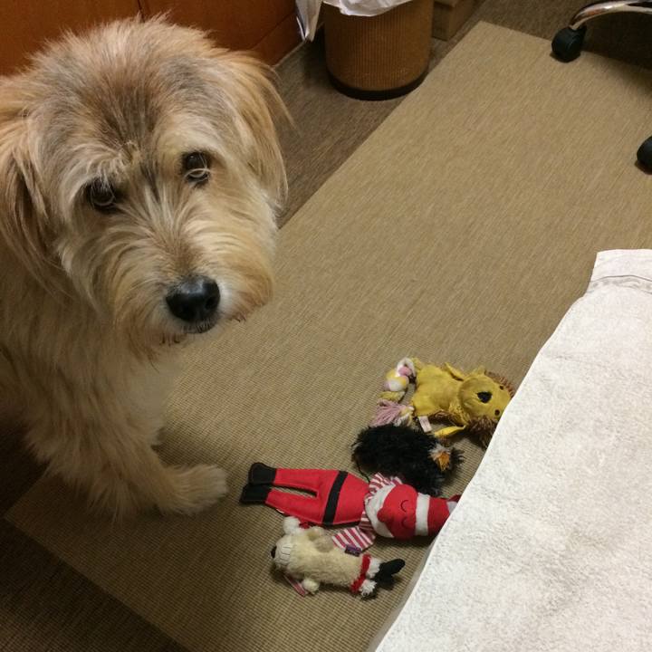 85d8d56b 844a 460a abdd a2344698d905