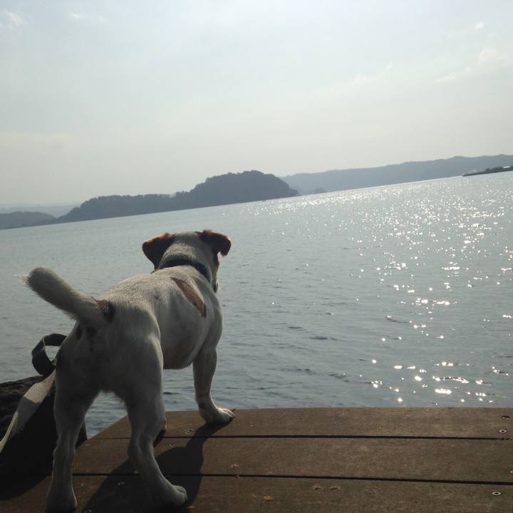 85d9008f 0d55 480c ad07 2aae450157f4