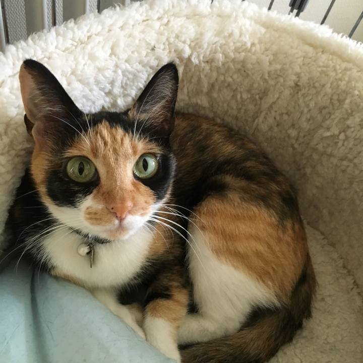 85d9720d 4e42 40d6 a5c8 6cf08ad556ea