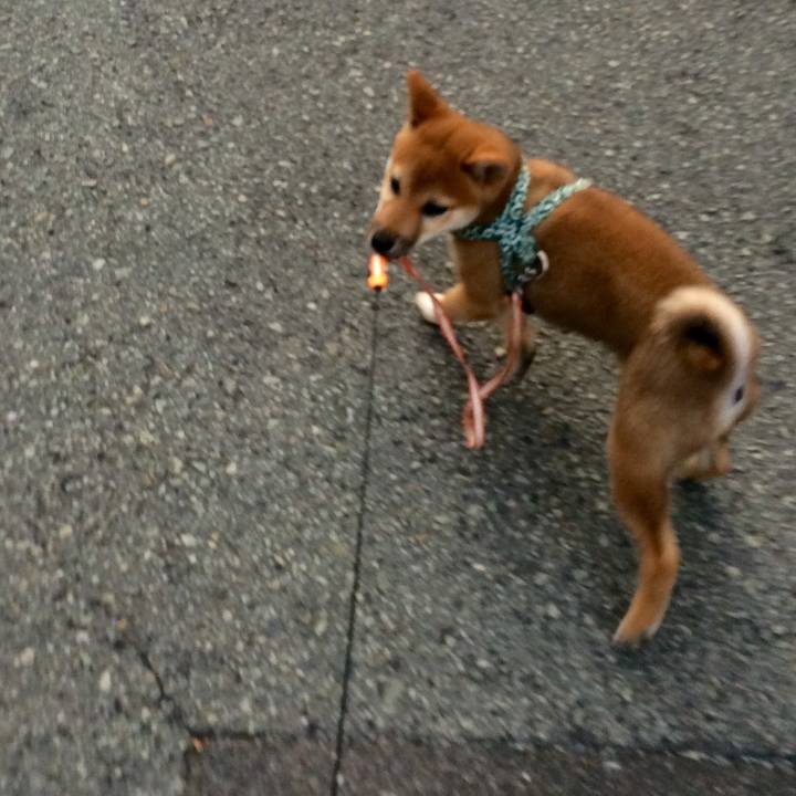 85d99f70 a8e7 49cf 9ab7 0925c2dc5bff