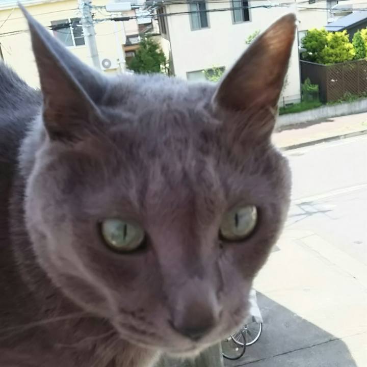 85d9e1d0 1bda 4fca 8618 3f8419eb9c32