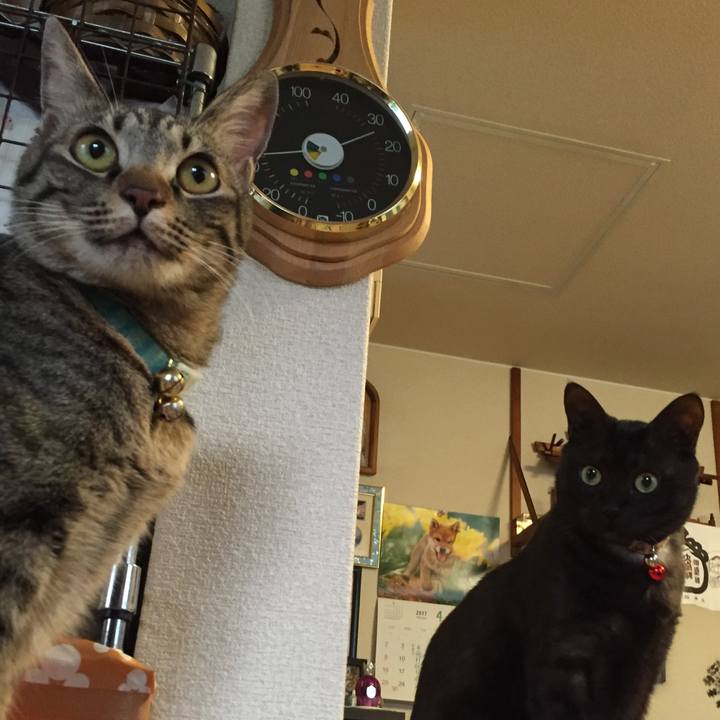 85da3b0e 49d0 4a41 88a6 3494a35b18b1